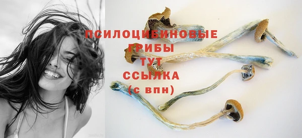 гашик Абдулино