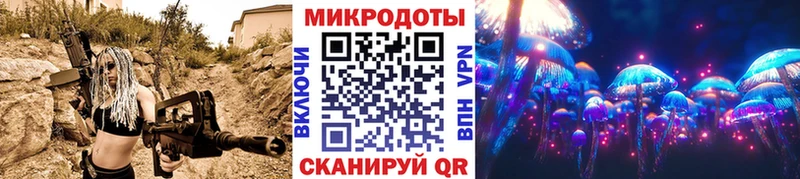 Галлюциногенные грибы Psilocybe  Староминская 